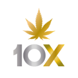 10X Icon
