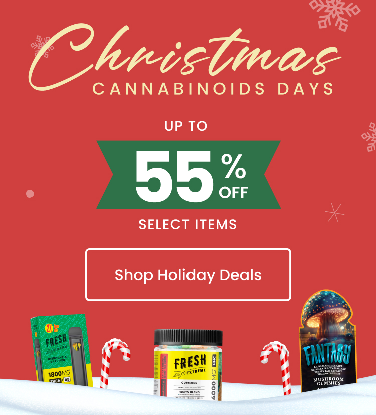 Large Promo - Holidays