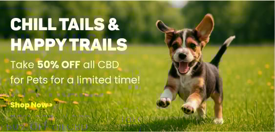 50% OFF CBD for Pets - Collection