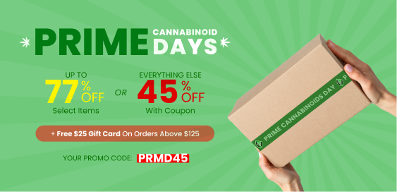 Collection - Prime Days