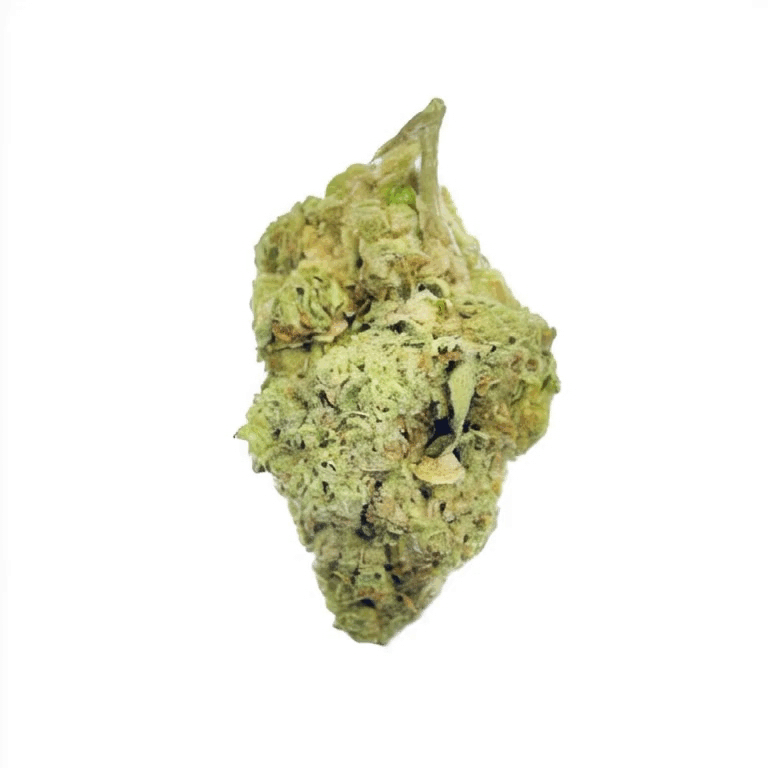 Durban Poison Flower – Sativa – THCA - 3