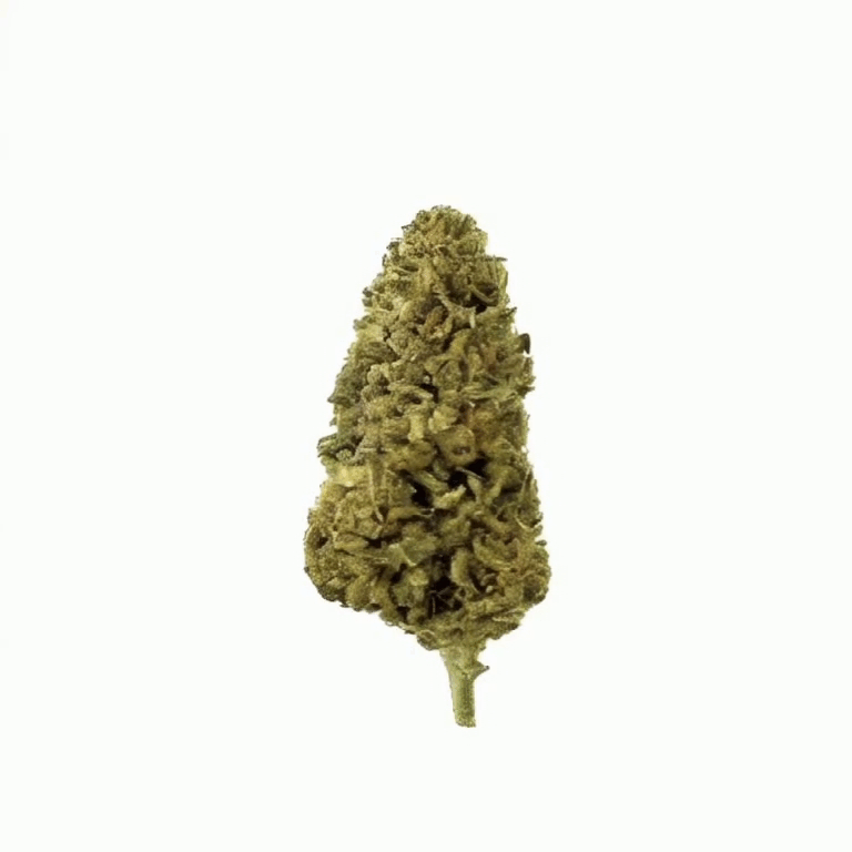 Illuminati Flower – Hybrid – THCA - 3