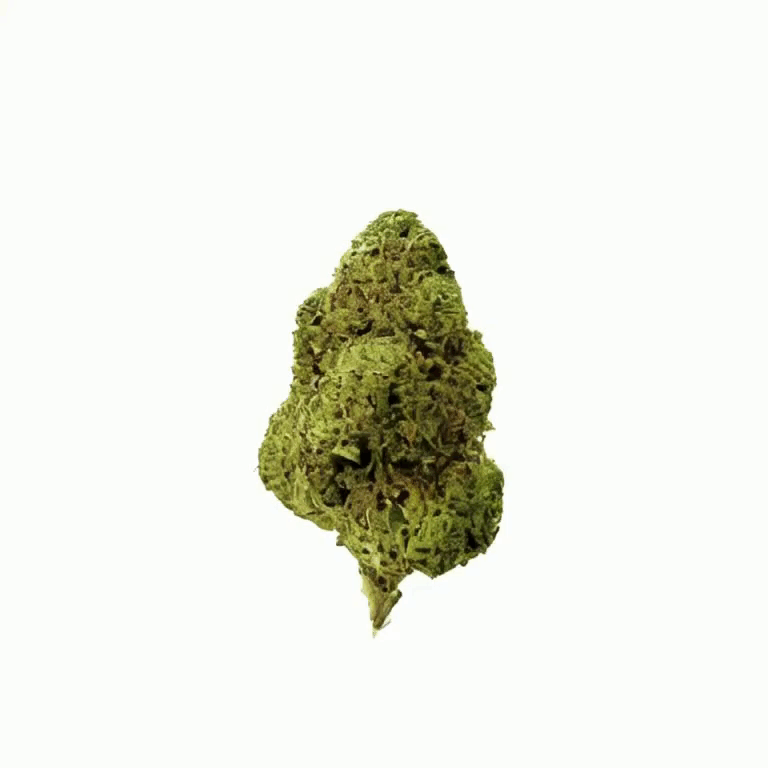Sundae Driver Flower – Hybrid – THCA - 3