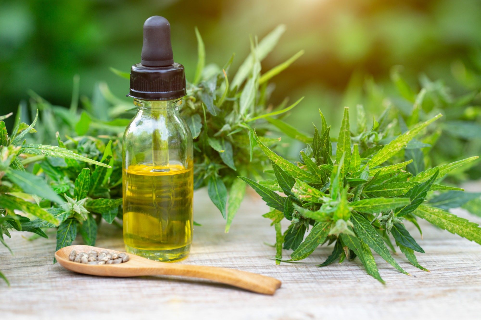 Pinene Terpene Effects & Benefits - The Ultimate Guide