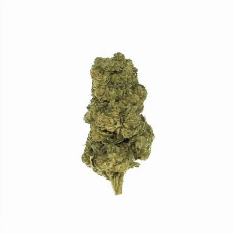 Black Cherry Gelato Flower - Indica - THCA - 2