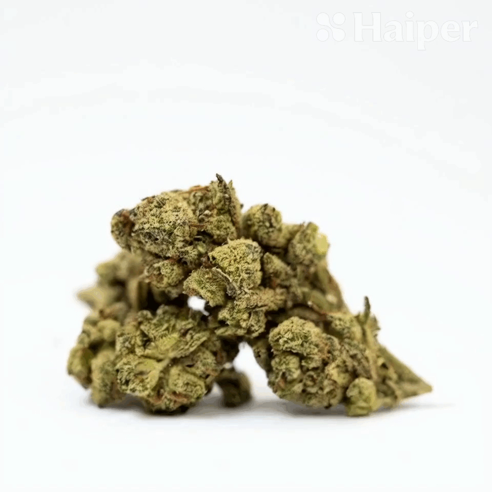 Gelato Haze Flower – Hybrid – THCA - 2