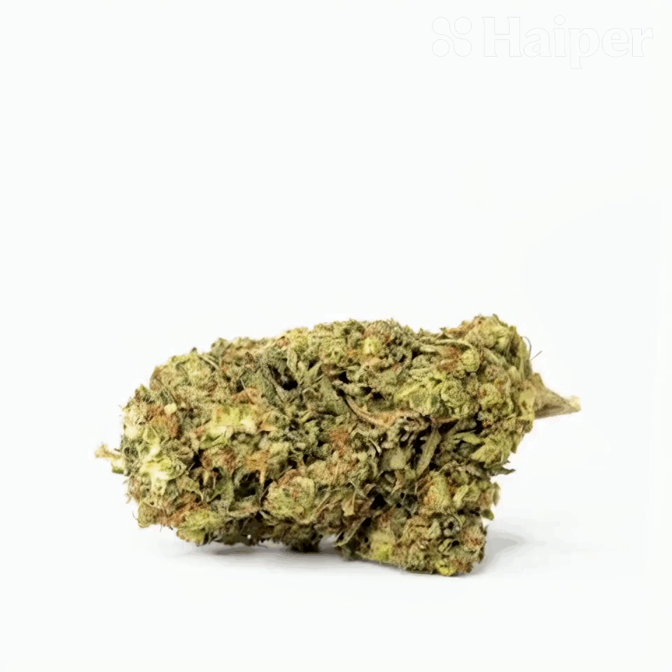 Jungle Juice Flower – Hybrid – THCA - 2