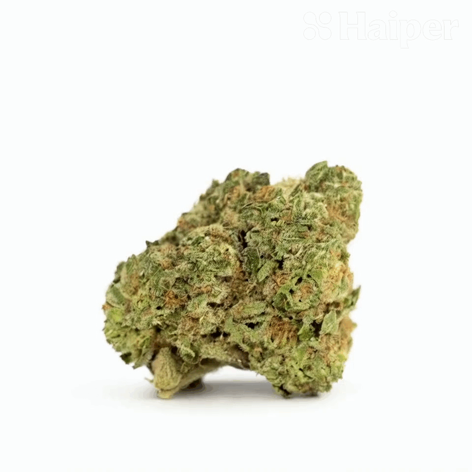 Italian Ice Flower – Hybrid – THCA - 2