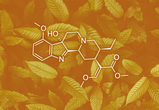 The Role of 7-Hydroxy Mitragynine in Kratom’s Effects 