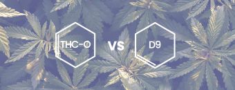 THC-O Vs Delta 9: Discover The Difference