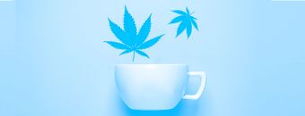 Cannabis Tea – The “Tea Weed” Recipe 