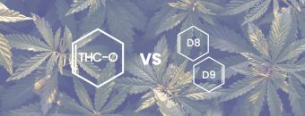 THC-O vs. Delta 9 & THC-O vs. Delta 8 - A Full Guide