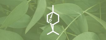 Eucalyptol Terpene Effects & Benefits - The Ultimate Guide