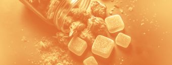 The Diverse Effects of THCA: Why Gummies Don’t Hit The Same