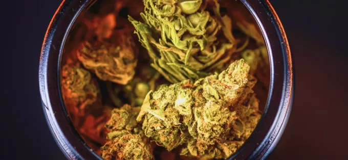 How Many Grams Are In An Ounce of Cannabis?