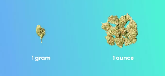 Weed Measurements  Ounces To Grams Calculator