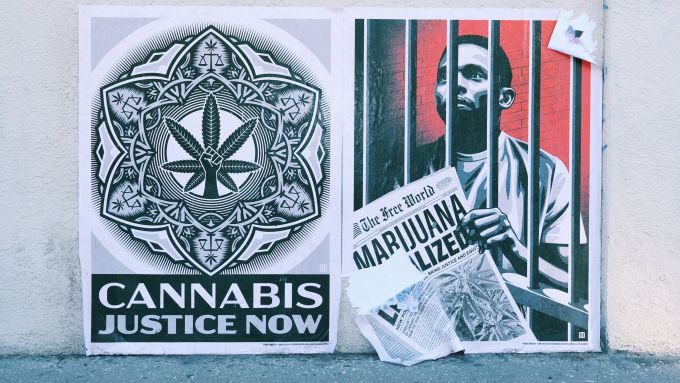cannabis