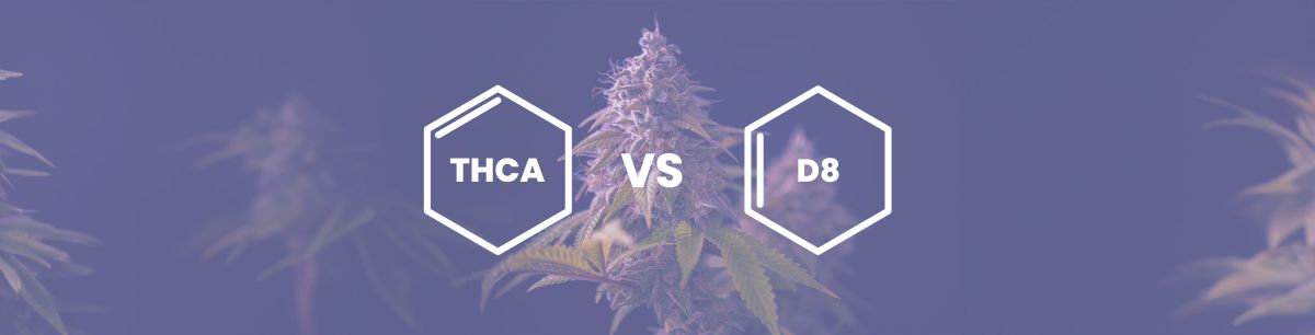 Decoding THCA