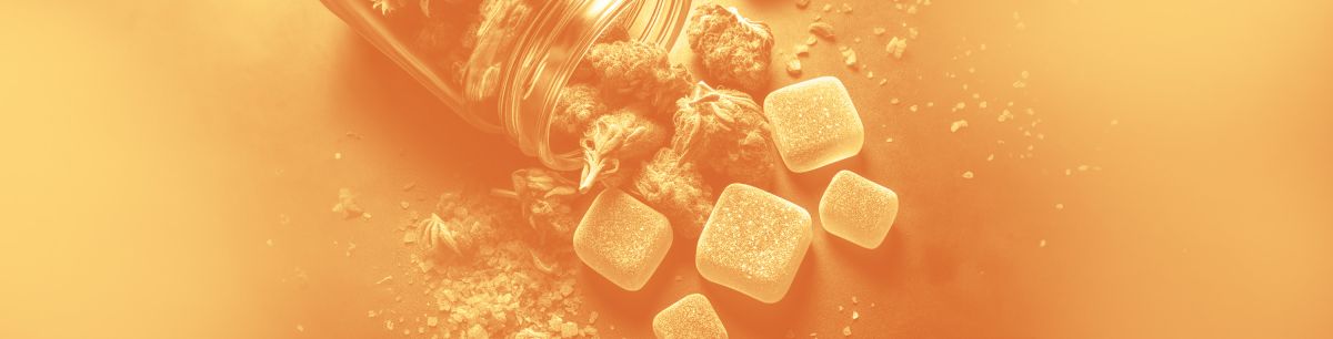 The Diverse Effects of THCA: Why Gummies Don’t Hit The Same