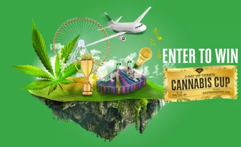 Diamond CBD Is Sending One Lucky Winner To The High Times Cannabis Cup on 4/20 Weekend