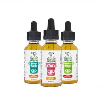 Uncovering the Truth Behind the 