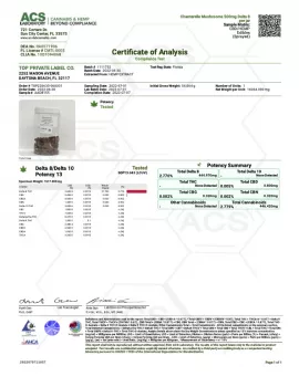 Shrooms Delta-8 THC Mushrooms - Dried Chanterelle - 500MG