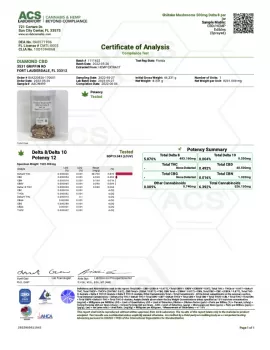Shrooms Delta-8 THC Mushrooms - Dried Shiitake - 500MG