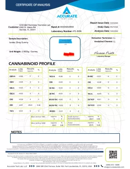 25mg CBD Isolate - Gummy Bears