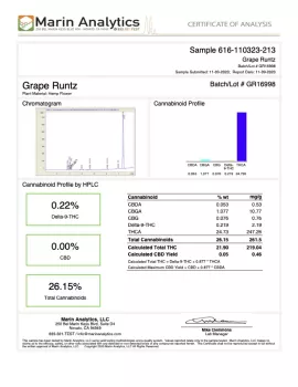 Grape Runtz Flower - THCA - Hybrid