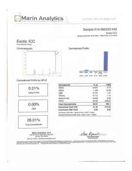 Exotic ICC Flower - THCA - Hybrid