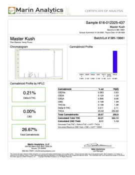 Master Kush Flower - THCA - Indica