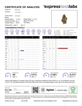 Candy Gelato Flower - THCA - Hybrid