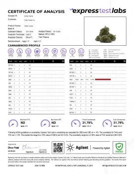 Cotton Candy Flower - THCA - Hybrid