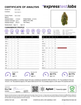 Garlic Cocktail Flower - THCA