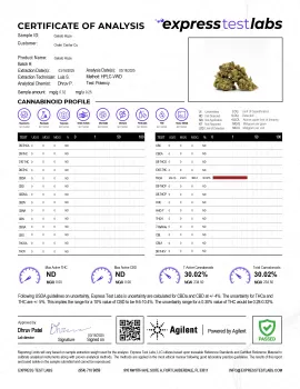 Gelato Haze Flower - THCA - Hybrid