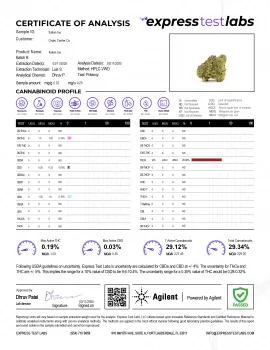 Italian Ice Flower - THCA - Hybrid