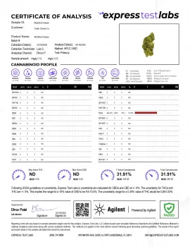Modified Grapes Flower - THCA - Hybrid