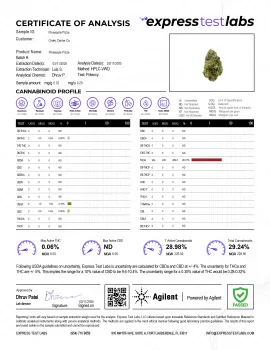 Pineapple Pizza Flower - THCA - Hybrid