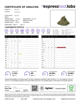Pink Candy Flower - THCA - Sativa