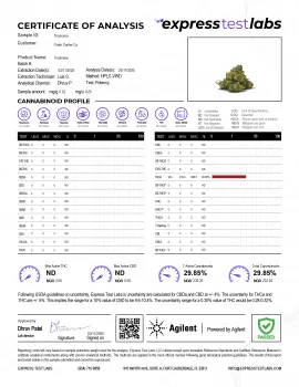 Tropicana Flower - THCA