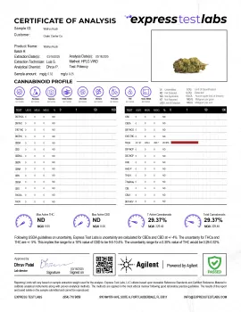 Walrus Kush Flower - THCA - Hybrid