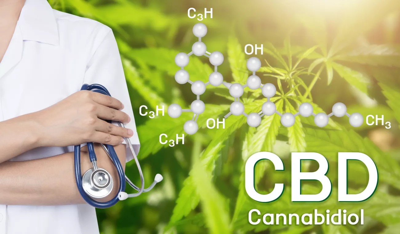 What Is CBD Guide > Page Paragraphs