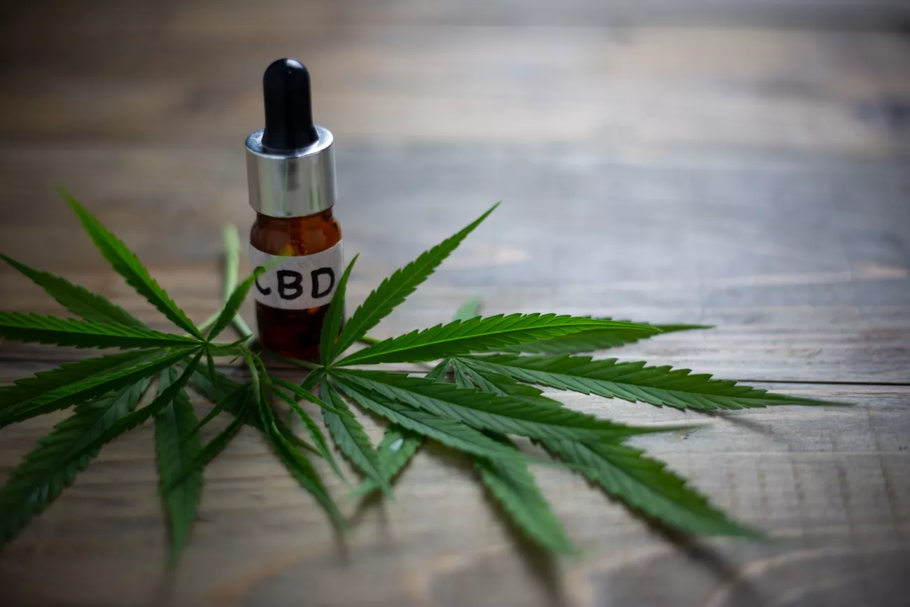 What Is CBD Guide > Page Paragraphs