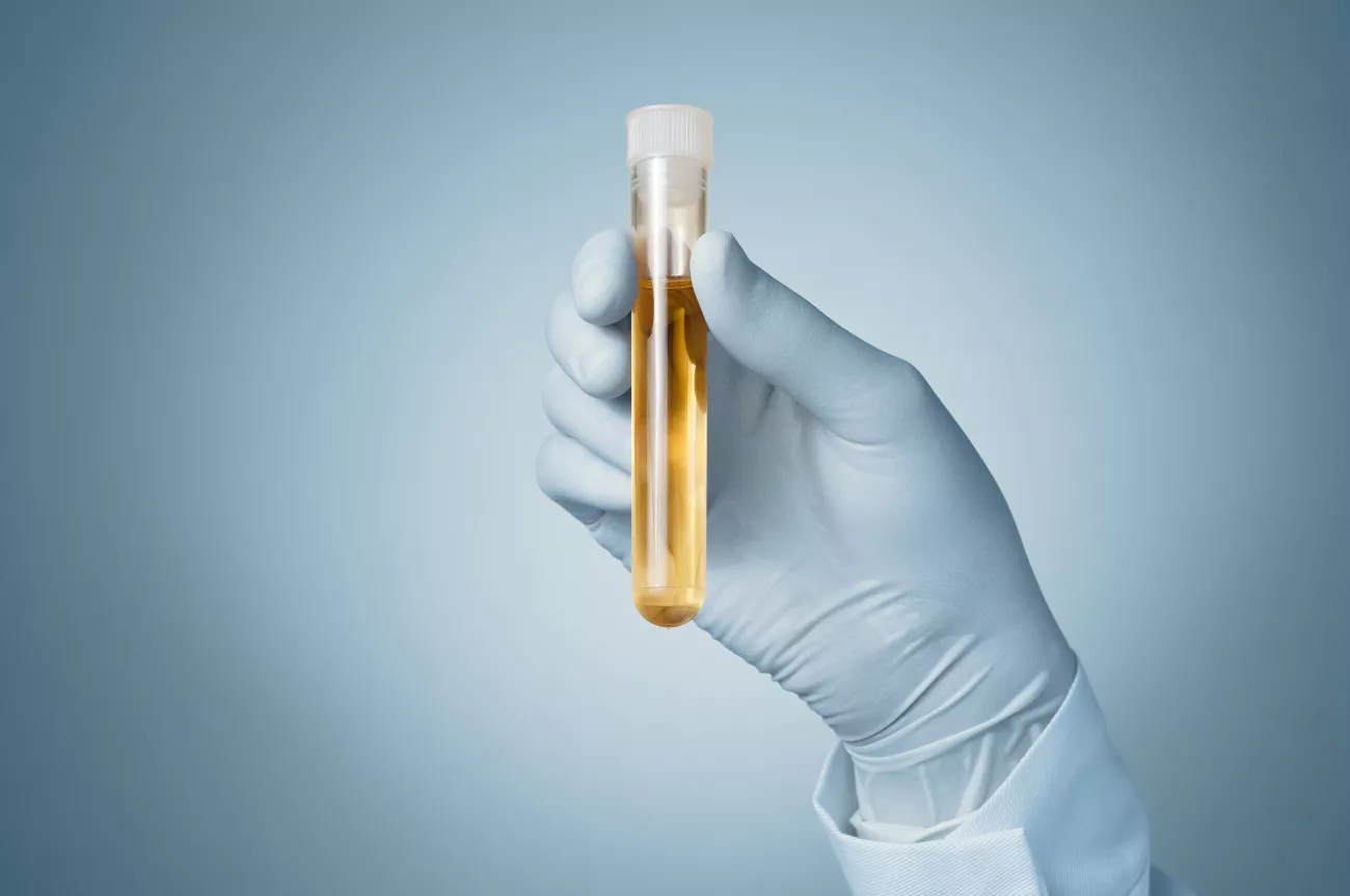 CBD and Drug Tests > Page Paragraphs