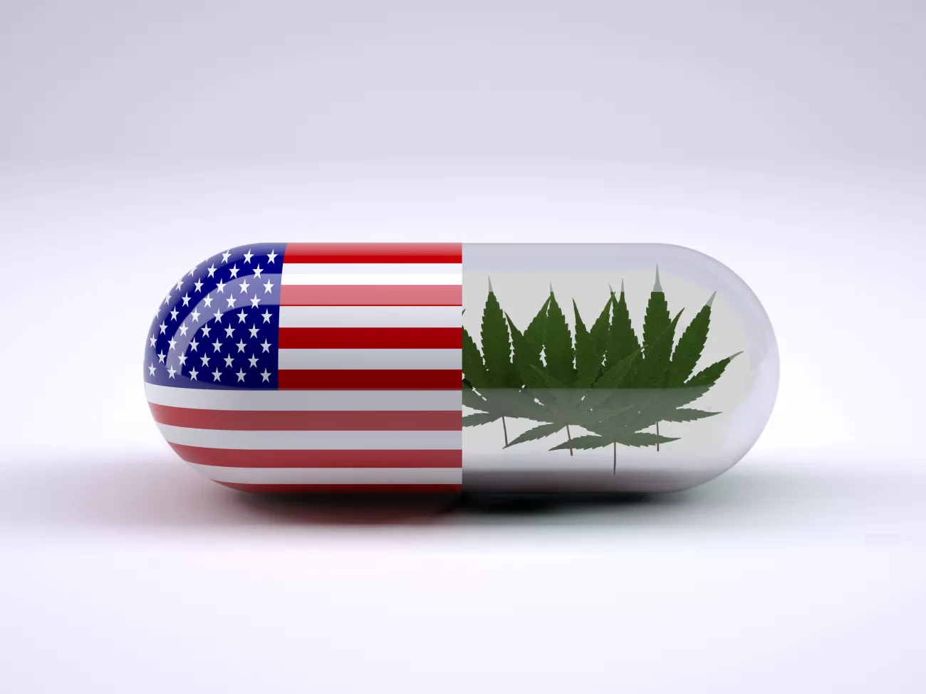 The Legality of CBD > Page Paragraphs