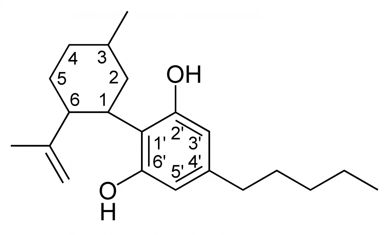 What Is CBD Guide > Page Paragraphs