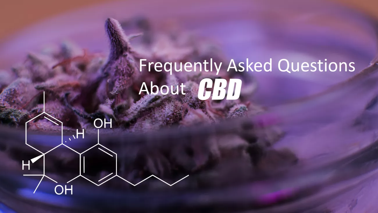 What Is CBD Guide > Page Paragraphs