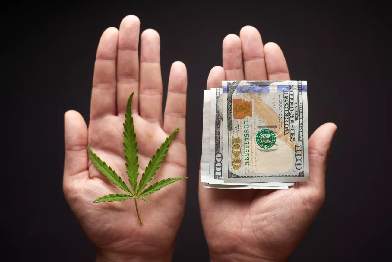 The Growth of The CBD Market