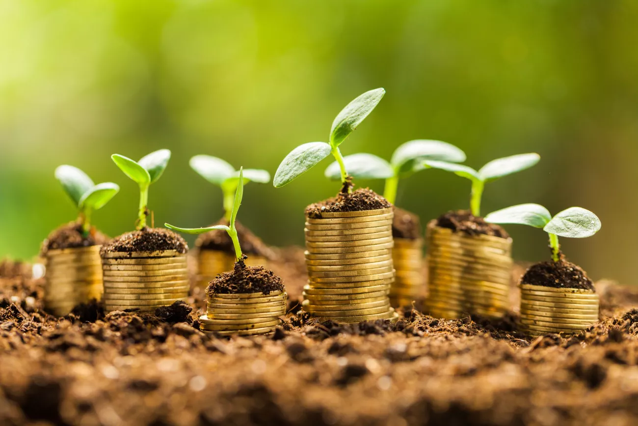 The Growth of The CBD Market