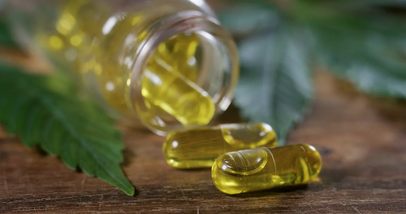 How To Do CBD Right This Fall > Paragraphs